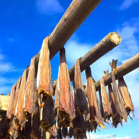 度假居 Eggum Fishermans